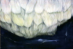 相馬麻由　油彩画 「ito…nami」